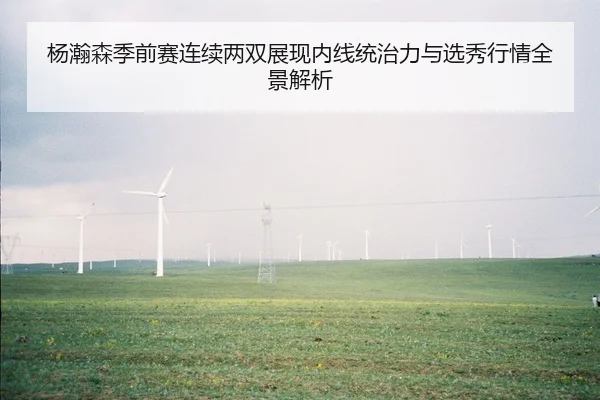杨瀚森季前赛连续两双展现内线统治力与选秀行情全景解析